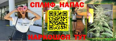 крисы Дубна