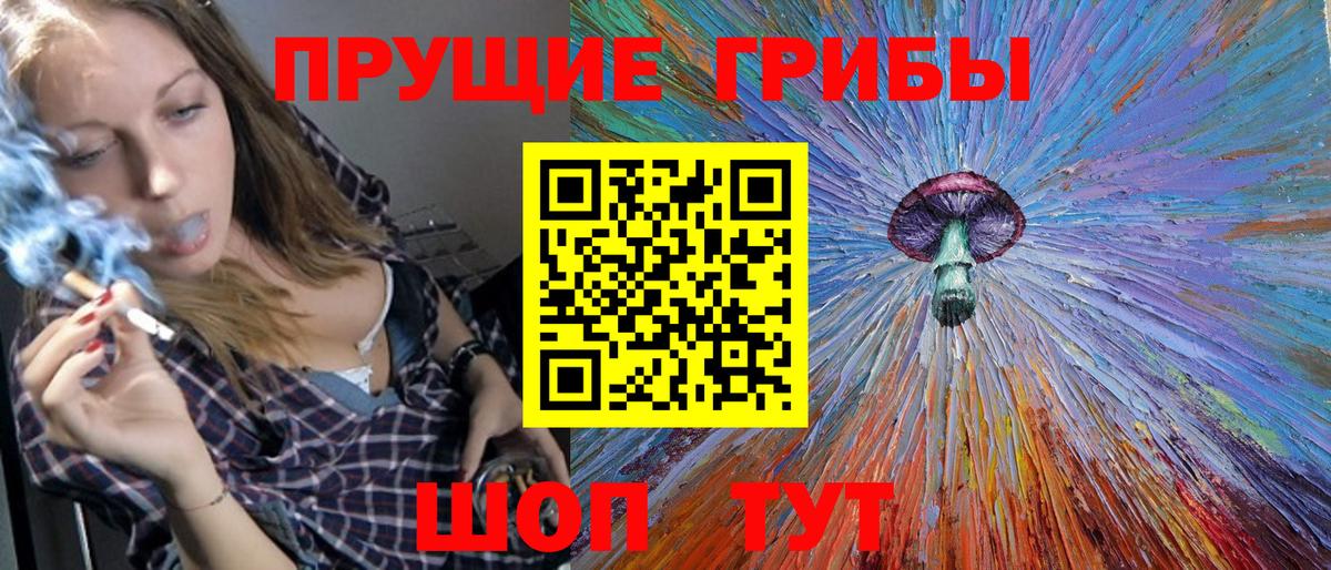 Галлюциногенные грибы Psilocybe Новочеркасск